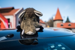 CNERgal_2026_SKR_LQ_018