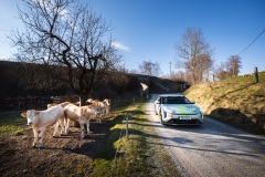 LR-260327175156-MMPHOTO9