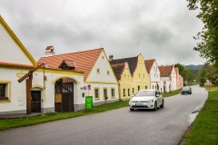 IMG_7162