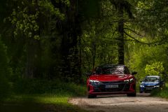 81